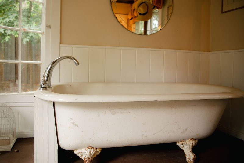 Soaking Cast Iron Bathtub
